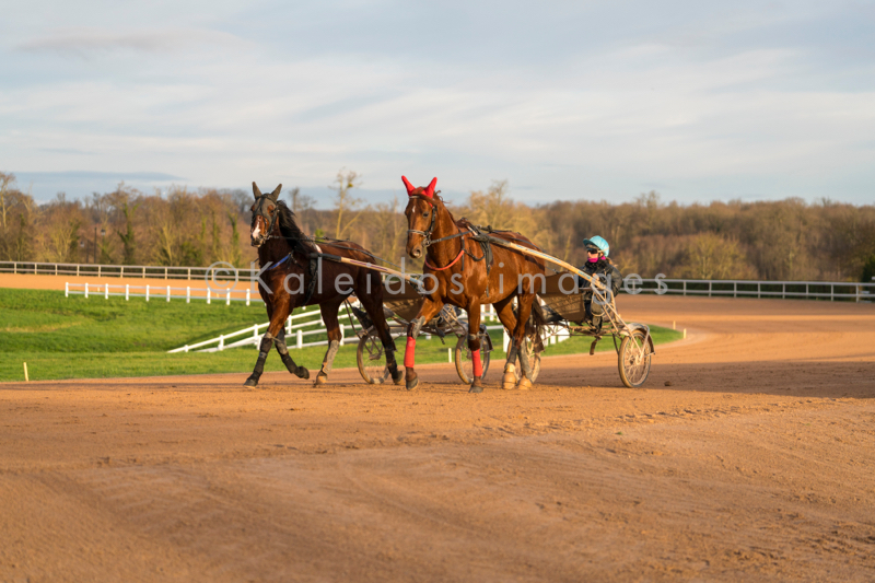 Domaine de Grosbois;Drivers;French Trotters;Grosbois;Harness racing;Horse;Horses;Kaleidos;Kaleidos images;Marolles-en-Brie;Sulkies;Sulky;Tarek Charara;Trot;Trotters;Trotting