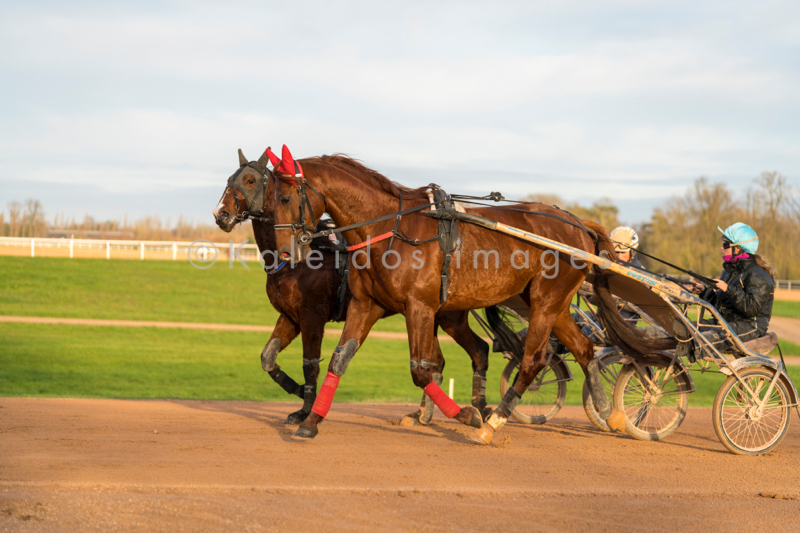 Domaine de Grosbois;Drivers;French Trotters;Grosbois;Harness racing;Horse;Horses;Kaleidos;Kaleidos images;Marolles-en-Brie;Sulkies;Sulky;Tarek Charara;Trot;Trotters;Trotting