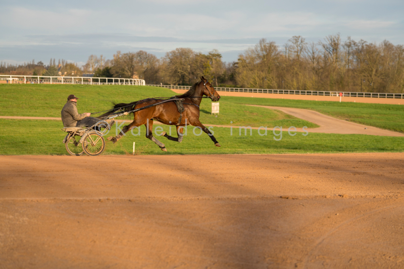 Domaine de Grosbois;Drivers;French Trotters;Grosbois;Harness racing;Horse;Horses;Kaleidos;Kaleidos images;Marolles-en-Brie;Sulkies;Sulky;Tarek Charara;Trot;Trotters;Trotting;Philippe Allaire