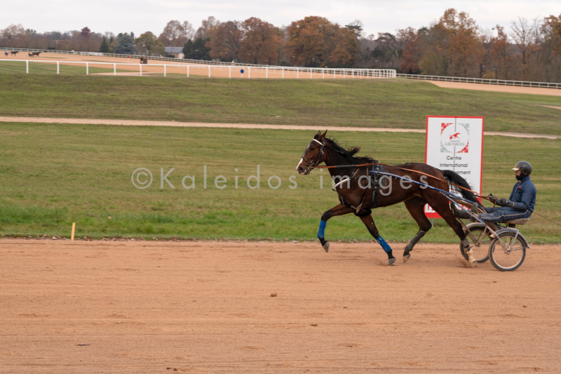 Domaine de Grosbois;Drivers;French Trotters;Grosbois;Harness racing;Horse;Horses;Kaleidos;Kaleidos images;Marolles-en-Brie;Sulkies;Sulky;Tarek Charara;Trot;Trotters;Trotting