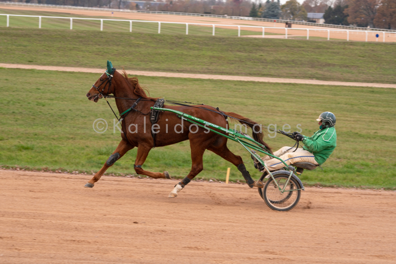 Domaine de Grosbois;Drivers;French Trotters;Grosbois;Harness racing;Horse;Horses;Kaleidos;Kaleidos images;Marolles-en-Brie;Sulkies;Sulky;Tarek Charara;Toni Ripoll;Trot;Trotters;Trotting