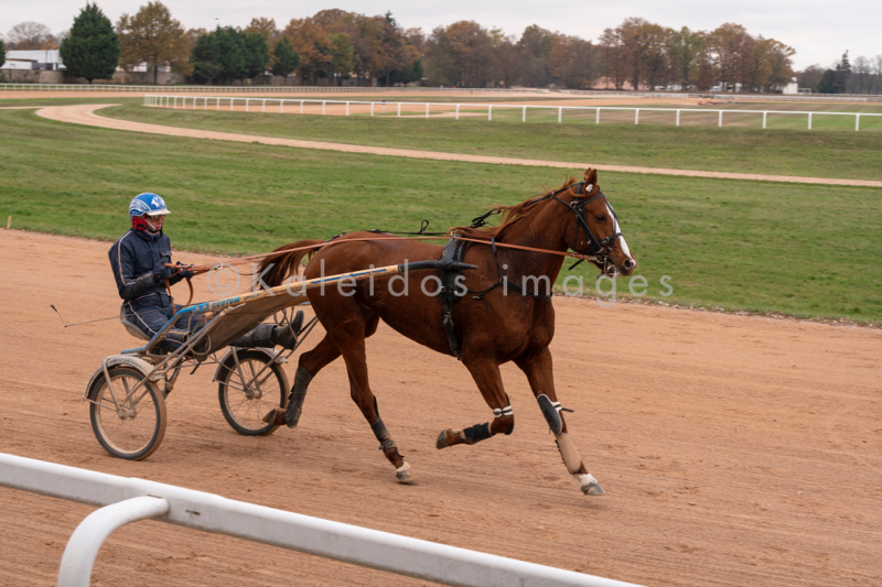 Domaine de Grosbois;Drivers;French Trotters;Grosbois;Harness racing;Horse;Horses;Kaleidos;Kaleidos images;Marolles-en-Brie;Sulkies;Sulky;Tarek Charara;Trot;Trotters;Trotting