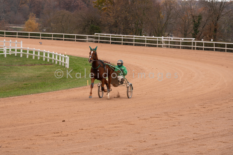Domaine de Grosbois;Drivers;French Trotters;Grosbois;Harness racing;Horse;Horses;Kaleidos;Kaleidos images;Marolles-en-Brie;Sulkies;Sulky;Tarek Charara;Toni Ripoll;Trot;Trotters;Trotting