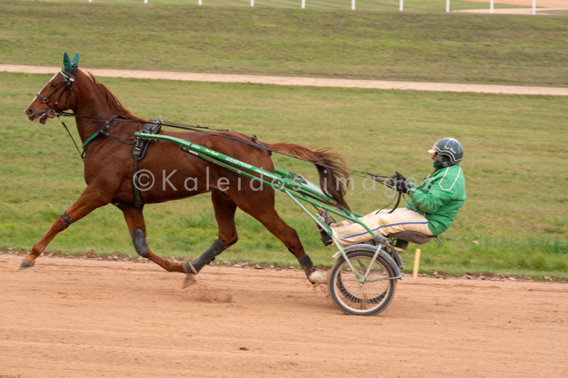 Domaine de Grosbois;Drivers;French Trotters;Grosbois;Harness racing;Horse;Horses;Kaleidos;Kaleidos images;Marolles-en-Brie;Sulkies;Sulky;Tarek Charara;Toni Ripoll;Trot;Trotters;Trotting