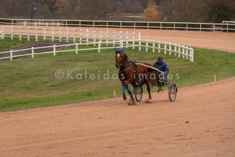 Domaine de Grosbois;Drivers;French Trotters;Grosbois;Harness racing;Horse;Horses;Kaleidos;Kaleidos images;Marolles-en-Brie;Sulkies;Sulky;Tarek Charara;Trot;Trotters;Trotting
