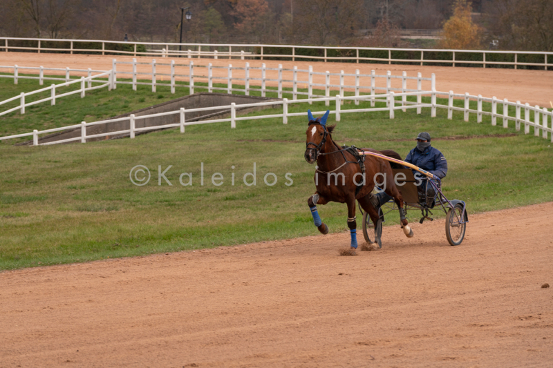 Domaine de Grosbois;Drivers;French Trotters;Grosbois;Harness racing;Horse;Horses;Kaleidos;Kaleidos images;Marolles-en-Brie;Sulkies;Sulky;Tarek Charara;Trot;Trotters;Trotting