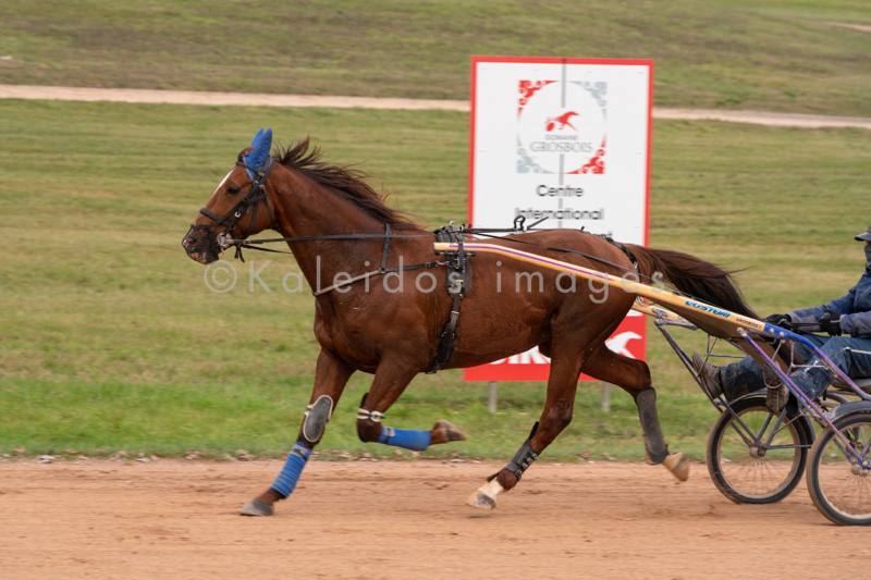 Domaine de Grosbois;Drivers;French Trotters;Grosbois;Harness racing;Horse;Horses;Kaleidos;Kaleidos images;Marolles-en-Brie;Sulkies;Sulky;Tarek Charara;Trot;Trotters;Trotting