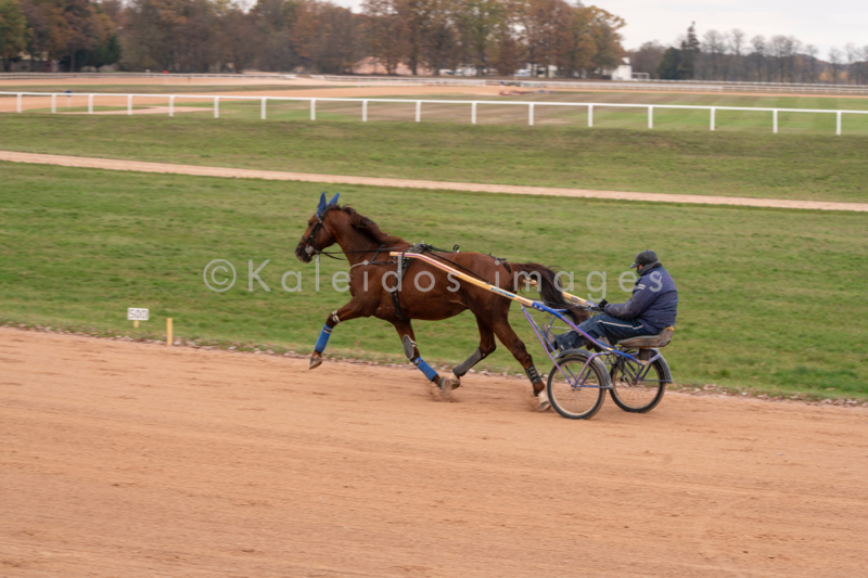 Domaine de Grosbois;Drivers;French Trotters;Grosbois;Harness racing;Horse;Horses;Kaleidos;Kaleidos images;Marolles-en-Brie;Sulkies;Sulky;Tarek Charara;Trot;Trotters;Trotting