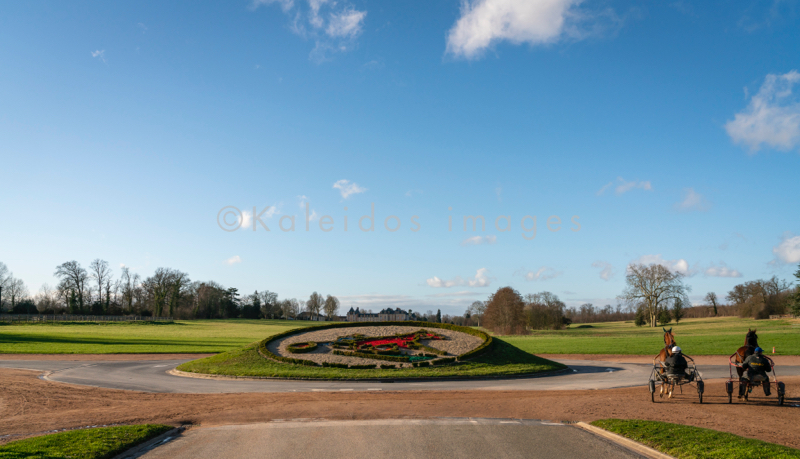 Domaine de Grosbois;Drivers;French Trotters;Grosbois;Harness racing;Horse;Horses;Kaleidos;Kaleidos images;Marolles-en-Brie;Sulkies;Sulky;Tarek Charara;Trot;Trotter;Trotters;Trotting