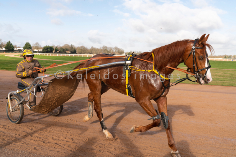 Domaine de Grosbois;Drivers;French Trotters;Grosbois;Harness racing;Horse;Horses;Kaleidos;Kaleidos images;Marolles-en-Brie;Sulkies;Sulky;Tarek Charara;Trot;Trotter;Trotters;Trotting