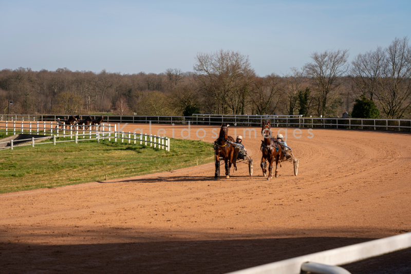 Domaine de Grosbois;Drivers;French Trotters;Grosbois;Harness racing;Horse;Horses;Kaleidos;Kaleidos images;Marolles-en-Brie;Sulkies;Sulky;Tarek Charara;Trot;Trotter;Trotters;Trotting