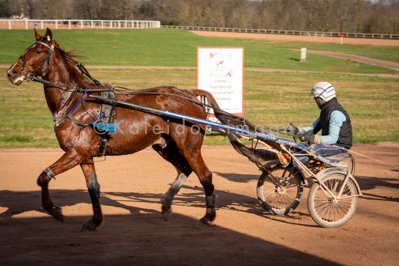 Domaine de Grosbois;Drivers;French Trotters;Grosbois;Harness racing;Horse;Horses;Kaleidos;Kaleidos images;Marolles-en-Brie;Sulkies;Sulky;Tarek Charara;Trot;Trotter;Trotters;Trotting