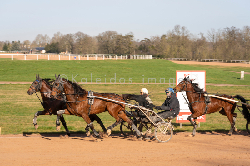 Domaine de Grosbois;Drivers;French Trotters;Grosbois;Harness racing;Horse;Horses;Kaleidos;Kaleidos images;Marolles-en-Brie;Sulkies;Sulky;Tarek Charara;Trot;Trotter;Trotters;Trotting