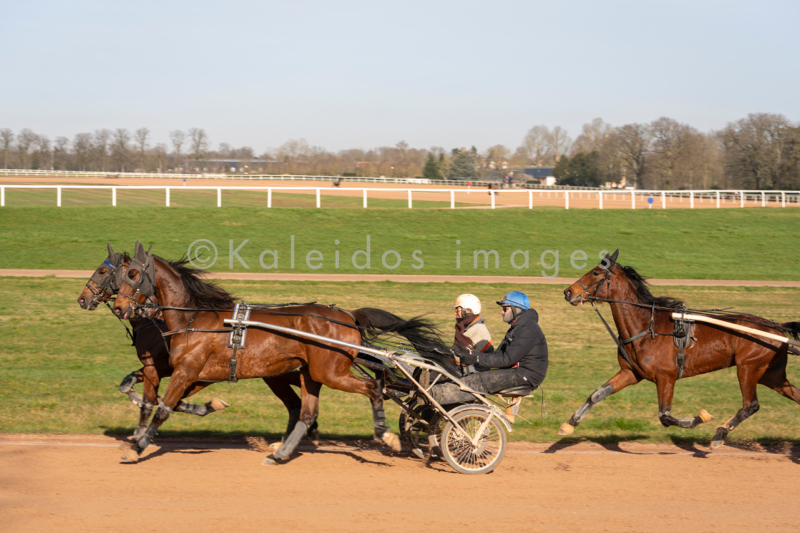 Domaine de Grosbois;Drivers;French Trotters;Grosbois;Harness racing;Horse;Horses;Kaleidos;Kaleidos images;Marolles-en-Brie;Sulkies;Sulky;Tarek Charara;Trot;Trotter;Trotters;Trotting