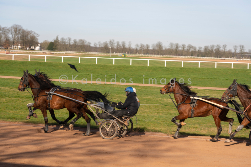 Domaine de Grosbois;Drivers;French Trotters;Grosbois;Harness racing;Horse;Horses;Kaleidos;Kaleidos images;Marolles-en-Brie;Sulkies;Sulky;Tarek Charara;Trot;Trotter;Trotters;Trotting