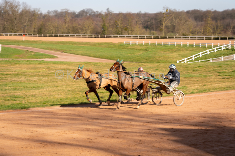 Domaine de Grosbois;Drivers;French Trotters;Grosbois;Harness racing;Horse;Horses;Kaleidos;Kaleidos images;Marolles-en-Brie;Sulkies;Sulky;Tarek Charara;Trot;Trotter;Trotters;Trotting