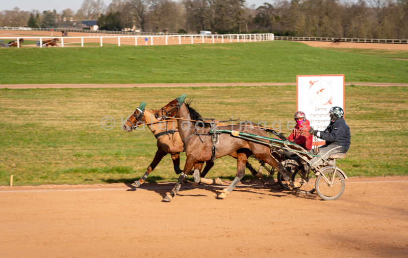 Domaine de Grosbois;Drivers;French Trotters;Grosbois;Harness racing;Horse;Horses;Kaleidos;Kaleidos images;Marolles-en-Brie;Sulkies;Sulky;Tarek Charara;Trot;Trotter;Trotters;Trotting