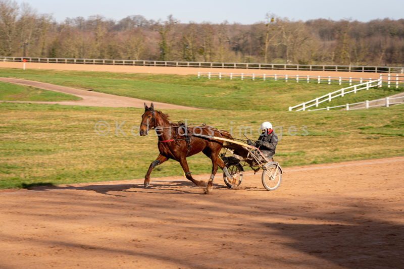 Domaine de Grosbois;Drivers;French Trotters;Grosbois;Harness racing;Horse;Horses;Kaleidos;Kaleidos images;Marolles-en-Brie;Sulkies;Sulky;Tarek Charara;Trot;Trotter;Trotters;Trotting