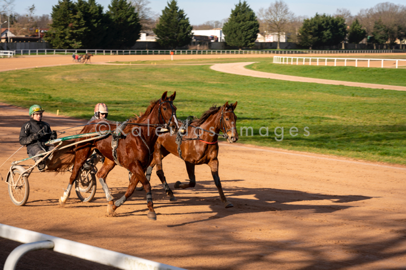 Domaine de Grosbois;Drivers;French Trotters;Grosbois;Harness racing;Horse;Horses;Kaleidos;Kaleidos images;Marolles-en-Brie;Sulkies;Sulky;Tarek Charara;Trot;Trotter;Trotters;Trotting