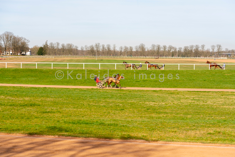 Domaine de Grosbois;Drivers;French Trotters;Grosbois;Harness racing;Horse;Horses;Kaleidos;Kaleidos images;Marolles-en-Brie;Sulkies;Sulky;Tarek Charara;Trot;Trotter;Trotters;Trotting