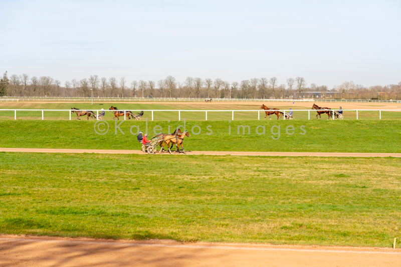 Domaine de Grosbois;Drivers;French Trotters;Grosbois;Harness racing;Horse;Horses;Kaleidos;Kaleidos images;Marolles-en-Brie;Sulkies;Sulky;Tarek Charara;Trot;Trotter;Trotters;Trotting