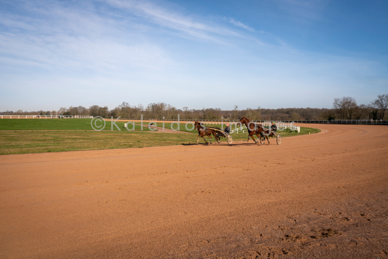 Domaine de Grosbois;Drivers;French Trotters;Grosbois;Harness racing;Horse;Horses;Kaleidos;Kaleidos images;Marolles-en-Brie;Sulkies;Sulky;Tarek Charara;Trot;Trotter;Trotters;Trotting