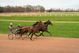 Domaine-de-Grosbois;Drivers;French-Trotters;Grosbois;Harness-racing;Horse;Horses;Kaleidos;Kaleidos-images;Marolles-en-Brie;Sulkies;Sulky;Tarek-Charara;Trot;Trotters;Trotting