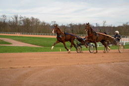 Domaine-de-Grosbois;Drivers;French-Trotters;Grosbois;Harness-racing;Horse;Horses;Kaleidos;Kaleidos-images;Marolles-en-Brie;Sulkies;Sulky;Tarek-Charara;Trot;Trotters;Trotting