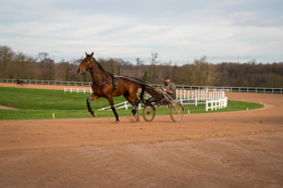Domaine-de-Grosbois;Drivers;French-Trotters;Grosbois;Harness-racing;Horse;Horses;Kaleidos;Kaleidos-images;Marolles-en-Brie;Sulkies;Sulky;Tarek-Charara;Trot;Trotters;Trotting;Philippe-Allaire