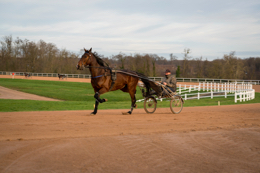 Domaine-de-Grosbois;Drivers;French-Trotters;Grosbois;Harness-racing;Horse;Horses;Kaleidos;Kaleidos-images;Marolles-en-Brie;Sulkies;Sulky;Tarek-Charara;Trot;Trotters;Trotting;Philippe-Allaire