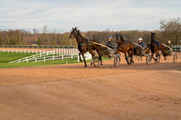 Domaine-de-Grosbois;Drivers;French-Trotters;Grosbois;Harness-racing;Horse;Horses;Kaleidos;Kaleidos-images;Marolles-en-Brie;Sulkies;Sulky;Tarek-Charara;Trot;Trotters;Trotting