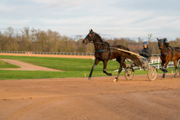 Domaine-de-Grosbois;Drivers;French-Trotters;Grosbois;Harness-racing;Horse;Horses;Kaleidos;Kaleidos-images;Marolles-en-Brie;Sulkies;Sulky;Tarek-Charara;Trot;Trotters;Trotting