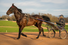 Domaine-de-Grosbois;Drivers;French-Trotters;Grosbois;Harness-racing;Horse;Horses;Kaleidos;Kaleidos-images;Marolles-en-Brie;Sulkies;Sulky;Tarek-Charara;Trot;Trotters;Trotting;Jean-Michel-Bazire;Bazire