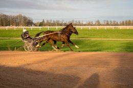 Domaine-de-Grosbois;Drivers;French-Trotters;Grosbois;Harness-racing;Horse;Horses;Kaleidos;Kaleidos-images;Marolles-en-Brie;Sulkies;Sulky;Tarek-Charara;Trot;Trotters;Trotting