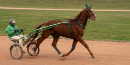 Domaine-de-Grosbois;Drivers;French-Trotters;Grosbois;Harness-racing;Horse;Horses;Kaleidos;Kaleidos-images;Marolles-en-Brie;Sulkies;Sulky;Tarek-Charara;Toni-Ripoll;Trot;Trotters;Trotting