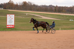 Domaine-de-Grosbois;Drivers;French-Trotters;Grosbois;Harness-racing;Horse;Horses;Kaleidos;Kaleidos-images;Marolles-en-Brie;Sulkies;Sulky;Tarek-Charara;Trot;Trotters;Trotting