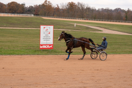 Domaine-de-Grosbois;Drivers;French-Trotters;Grosbois;Harness-racing;Horse;Horses;Kaleidos;Kaleidos-images;Marolles-en-Brie;Sulkies;Sulky;Tarek-Charara;Trot;Trotters;Trotting