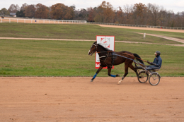 Domaine-de-Grosbois;Drivers;French-Trotters;Grosbois;Harness-racing;Horse;Horses;Kaleidos;Kaleidos-images;Marolles-en-Brie;Sulkies;Sulky;Tarek-Charara;Trot;Trotters;Trotting