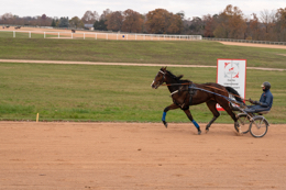 Domaine-de-Grosbois;Drivers;French-Trotters;Grosbois;Harness-racing;Horse;Horses;Kaleidos;Kaleidos-images;Marolles-en-Brie;Sulkies;Sulky;Tarek-Charara;Trot;Trotters;Trotting