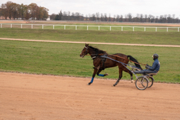 Domaine-de-Grosbois;Drivers;French-Trotters;Grosbois;Harness-racing;Horse;Horses;Kaleidos;Kaleidos-images;Marolles-en-Brie;Sulkies;Sulky;Tarek-Charara;Trot;Trotters;Trotting