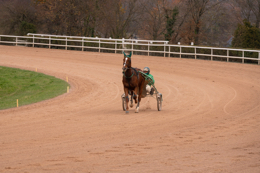 Domaine-de-Grosbois;Drivers;French-Trotters;Grosbois;Harness-racing;Horse;Horses;Kaleidos;Kaleidos-images;Marolles-en-Brie;Sulkies;Sulky;Tarek-Charara;Toni-Ripoll;Trot;Trotters;Trotting