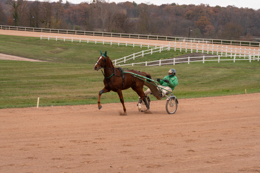 Domaine-de-Grosbois;Drivers;French-Trotters;Grosbois;Harness-racing;Horse;Horses;Kaleidos;Kaleidos-images;Marolles-en-Brie;Sulkies;Sulky;Tarek-Charara;Toni-Ripoll;Trot;Trotters;Trotting