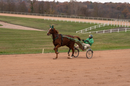 Domaine-de-Grosbois;Drivers;French-Trotters;Grosbois;Harness-racing;Horse;Horses;Kaleidos;Kaleidos-images;Marolles-en-Brie;Sulkies;Sulky;Tarek-Charara;Toni-Ripoll;Trot;Trotters;Trotting