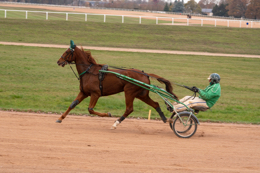 Domaine-de-Grosbois;Drivers;French-Trotters;Grosbois;Harness-racing;Horse;Horses;Kaleidos;Kaleidos-images;Marolles-en-Brie;Sulkies;Sulky;Tarek-Charara;Toni-Ripoll;Trot;Trotters;Trotting