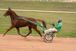 Domaine-de-Grosbois;Drivers;French-Trotters;Grosbois;Harness-racing;Horse;Horses;Kaleidos;Kaleidos-images;Marolles-en-Brie;Sulkies;Sulky;Tarek-Charara;Toni-Ripoll;Trot;Trotters;Trotting