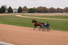 Domaine-de-Grosbois;Drivers;French-Trotters;Grosbois;Harness-racing;Horse;Horses;Kaleidos;Kaleidos-images;Marolles-en-Brie;Sulkies;Sulky;Tarek-Charara;Trot;Trotters;Trotting