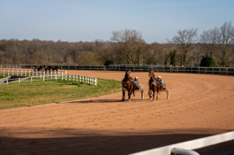 Domaine-de-Grosbois;Drivers;French-Trotters;Grosbois;Harness-racing;Horse;Horses;Kaleidos;Kaleidos-images;Marolles-en-Brie;Sulkies;Sulky;Tarek-Charara;Trot;Trotter;Trotters;Trotting