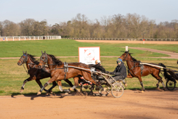 Domaine-de-Grosbois;Drivers;French-Trotters;Grosbois;Harness-racing;Horse;Horses;Kaleidos;Kaleidos-images;Marolles-en-Brie;Sulkies;Sulky;Tarek-Charara;Trot;Trotter;Trotters;Trotting