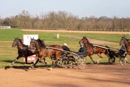 Domaine-de-Grosbois;Drivers;French-Trotters;Grosbois;Harness-racing;Horse;Horses;Kaleidos;Kaleidos-images;Marolles-en-Brie;Sulkies;Sulky;Tarek-Charara;Trot;Trotter;Trotters;Trotting