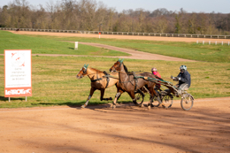 Domaine-de-Grosbois;Drivers;French-Trotters;Grosbois;Harness-racing;Horse;Horses;Kaleidos;Kaleidos-images;Marolles-en-Brie;Sulkies;Sulky;Tarek-Charara;Trot;Trotter;Trotters;Trotting